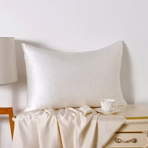 BWT Ivory Silk Pillowcase